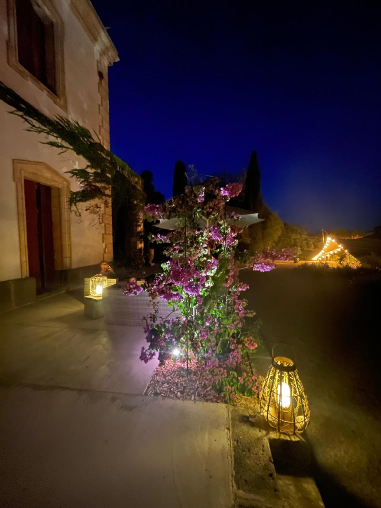 مارسيلان La Bellonette المظهر الخارجي الصورة