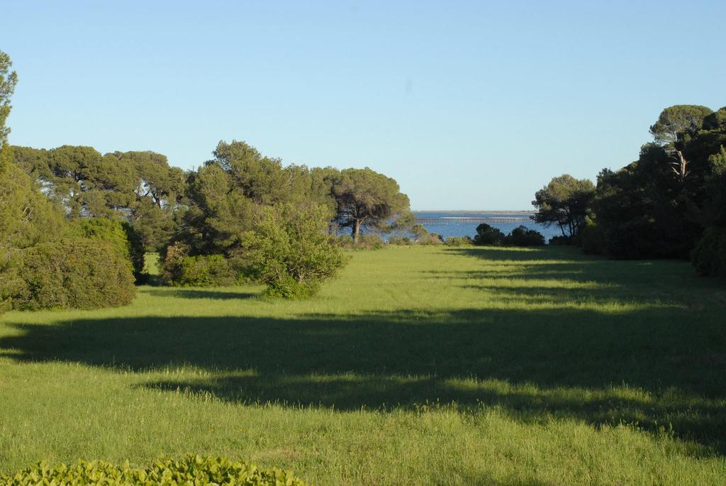 مارسيلان La Bellonette المظهر الخارجي الصورة